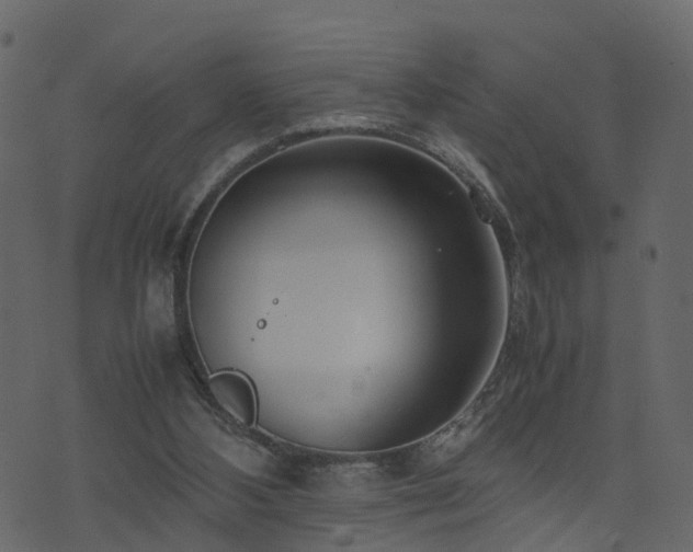 X0000074230108200608251123