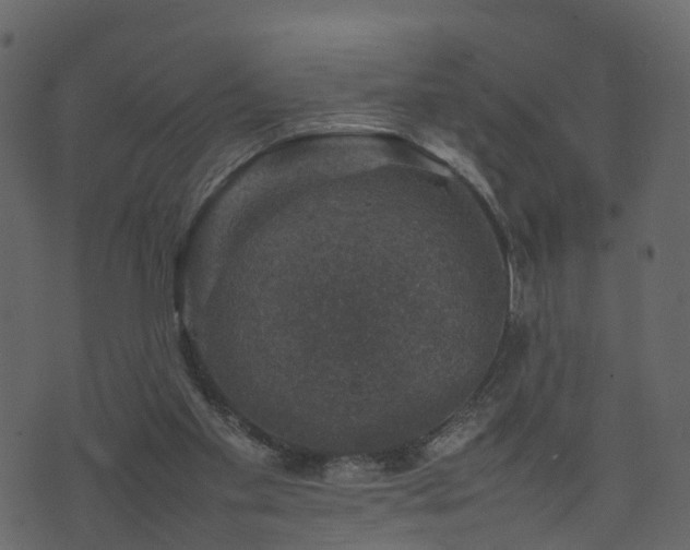 X0000074230109200608251123