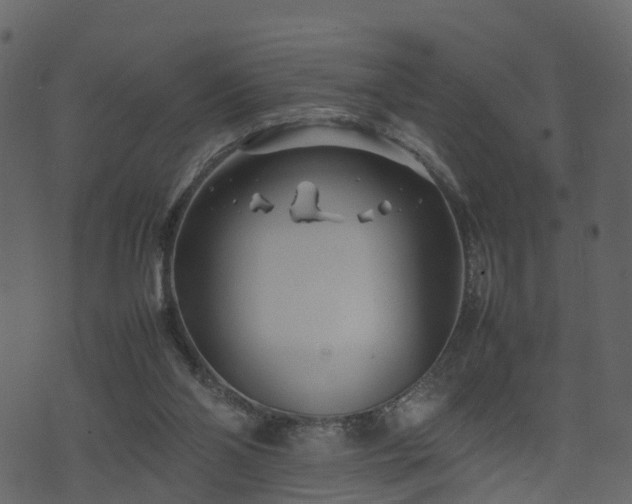 X0000074230110200608251123