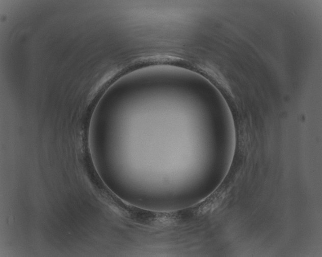 X0000074230111200608251123