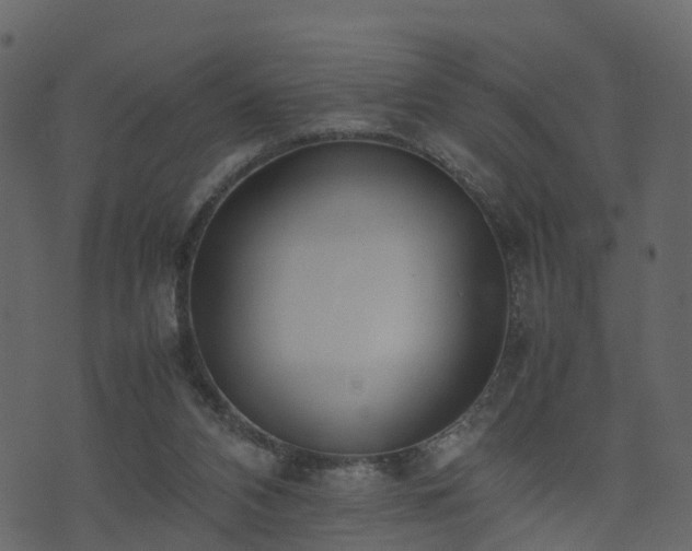 X0000074230112200608251123