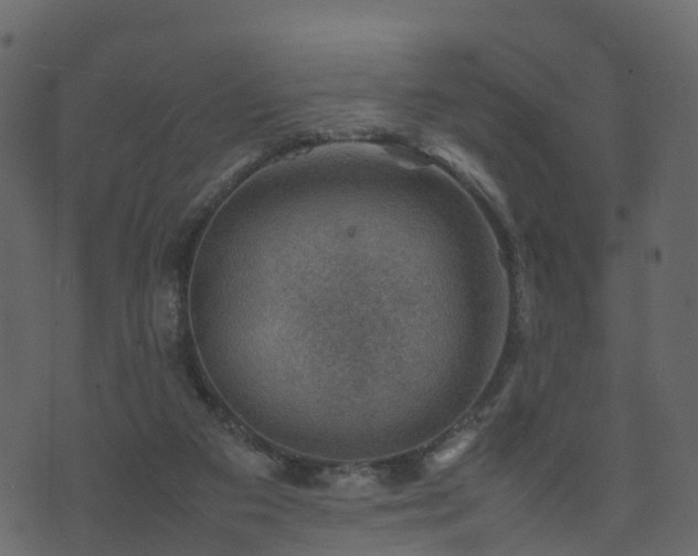 X0000074230113200608251123