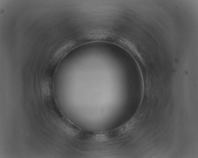 X0000074230114200608251123