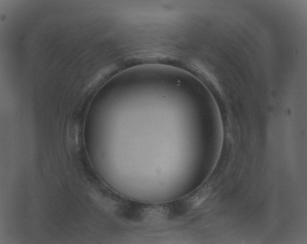 X0000074230115200608251123