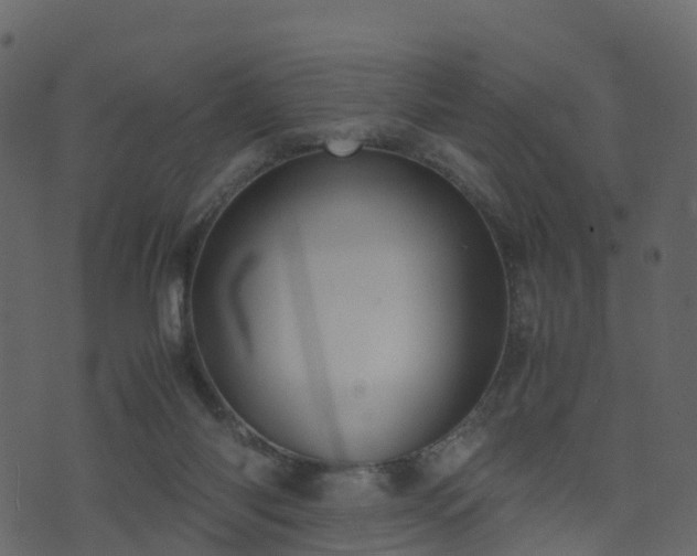 X0000074230118200608251123