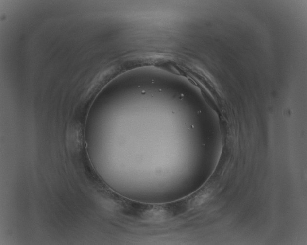 X0000074230119200608251123