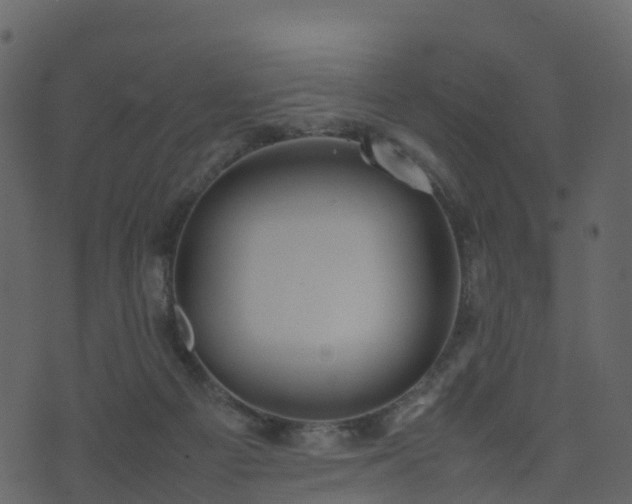 X0000074230121200608251123