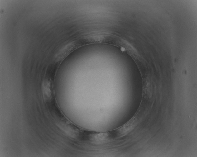 X0000074230122200608251123