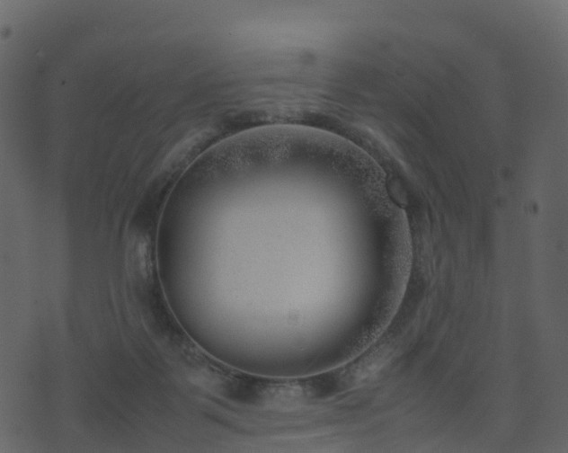 X0000074230123200608251123