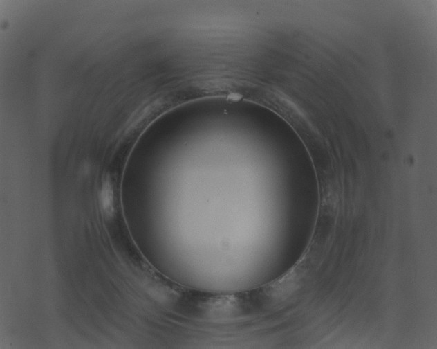 X0000074230124200608251123