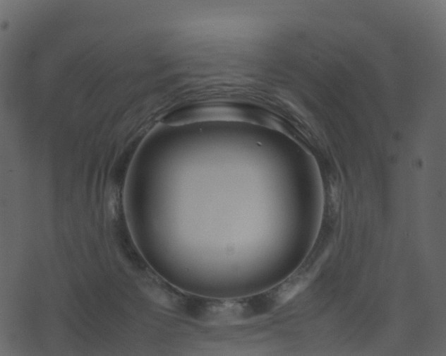 X0000074230125200608251123