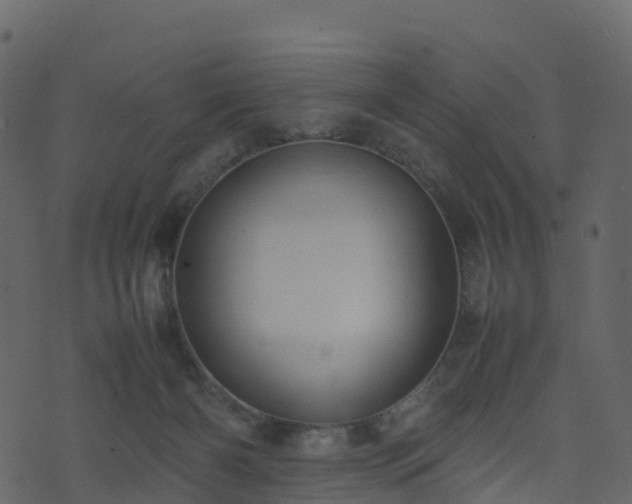 X0000074230126200608251123