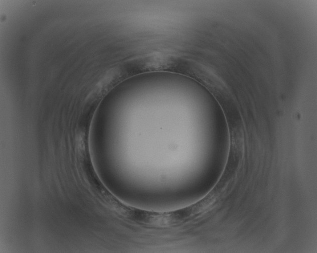 X0000074230127200608251123