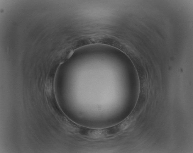 X0000074230129200608251123