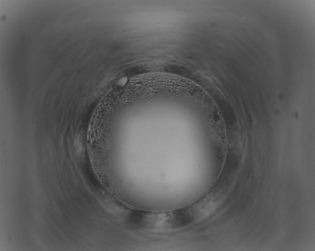 X0000074230131200608251123