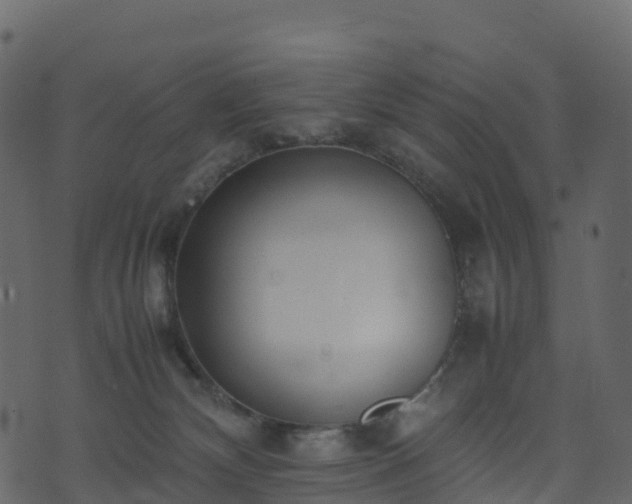 X0000074230132200608251123