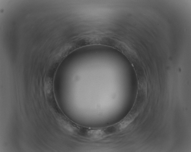 X0000074230133200608251123