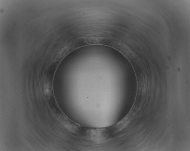 X0000074230134200608251123