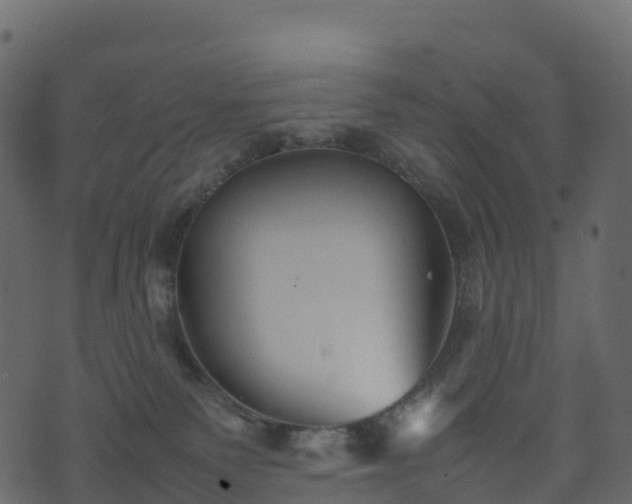 X0000074230135200608251123