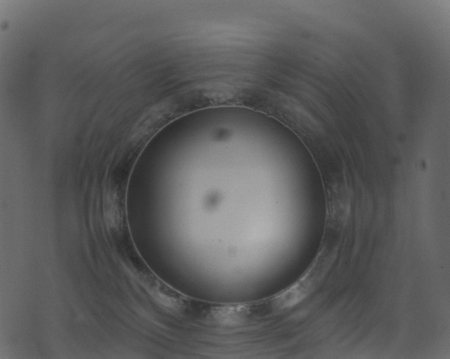 X0000074230136200608251123