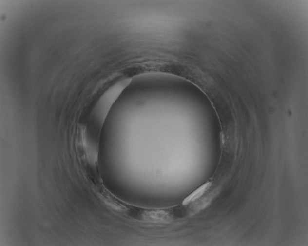 X0000074230137200608251123