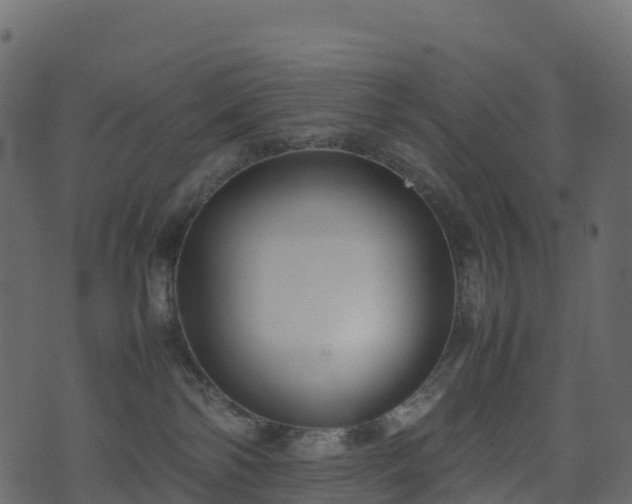 X0000074230138200608251123