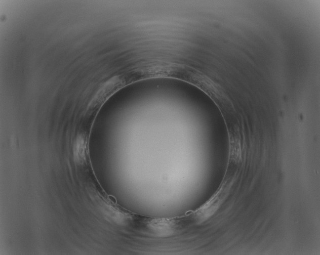 X0000074230142200608251123