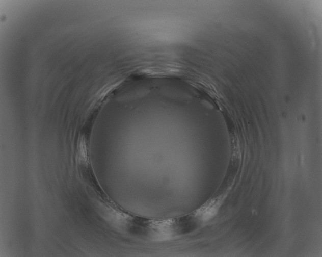 X0000074230143200608251123