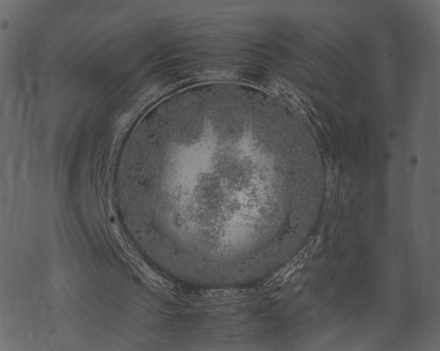 X0000074230145200608251122