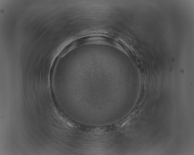 X0000074230148200608251122