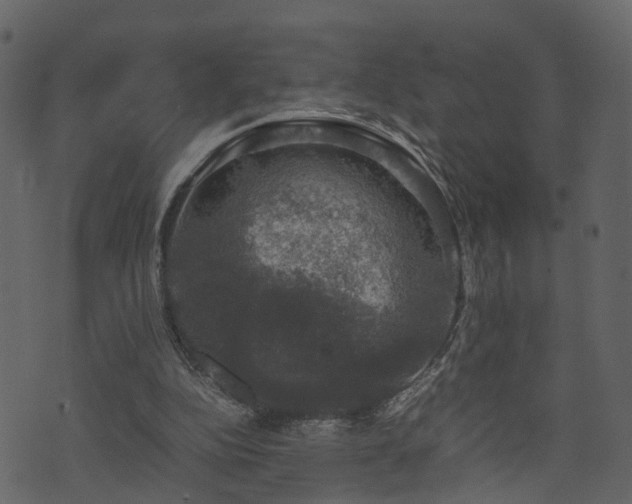 X0000074230152200608251122