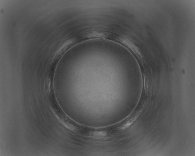 X0000074230157200608251122