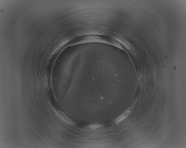 X0000074230158200608251122