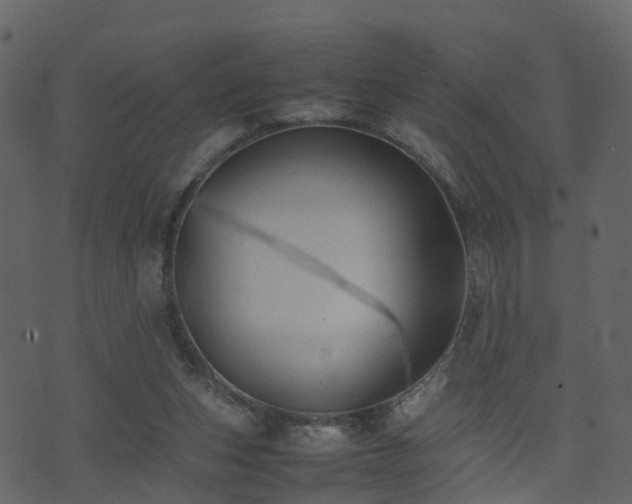 X0000074230159200608251122