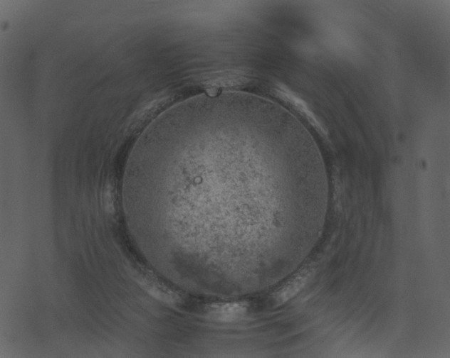 X0000074230161200608251122