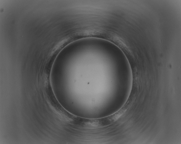 X0000074230164200608251122