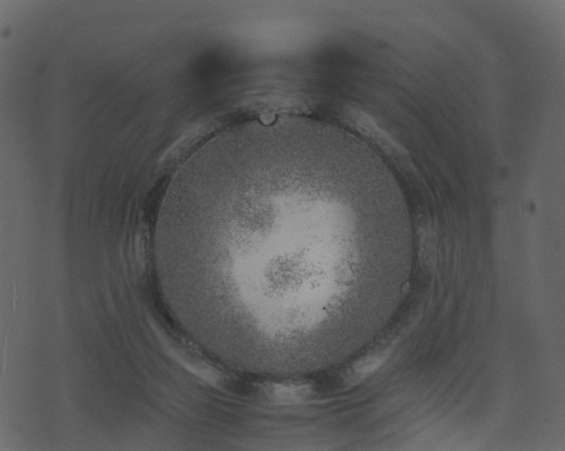 X0000074230165200608251122