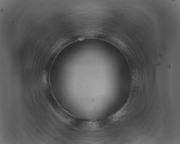 X0000074230166200608251122