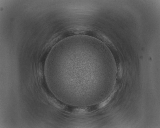 X0000074230170200608251122