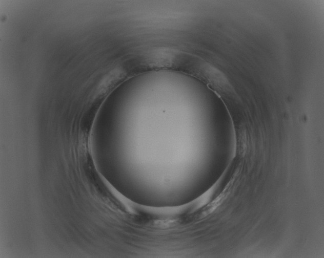 X0000074230172200608251122