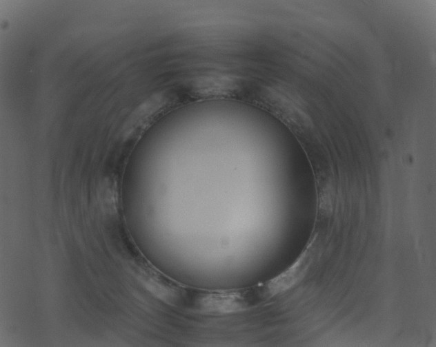 X0000074230179200608251122