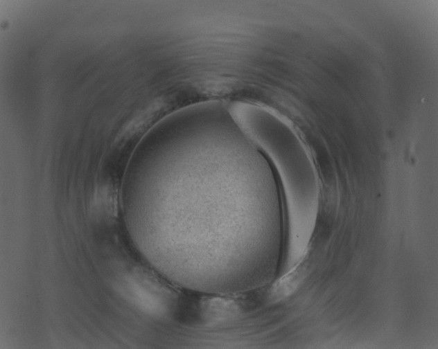 X0000074230180200608251122