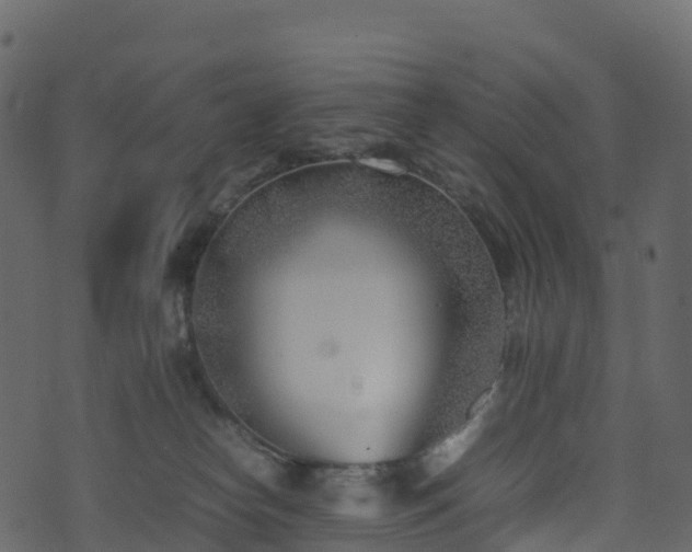 X0000074230182200608251122