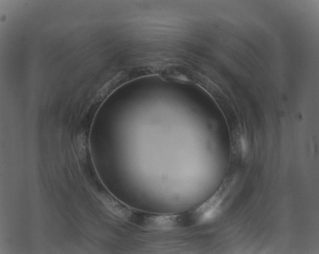 X0000074230184200608251122