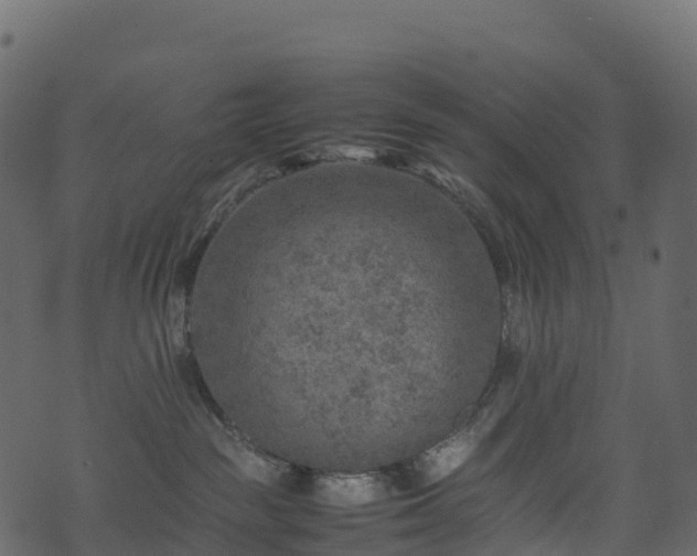 X0000074230189200608251123