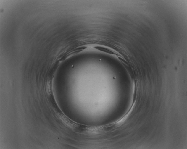 X0000074230190200608251123