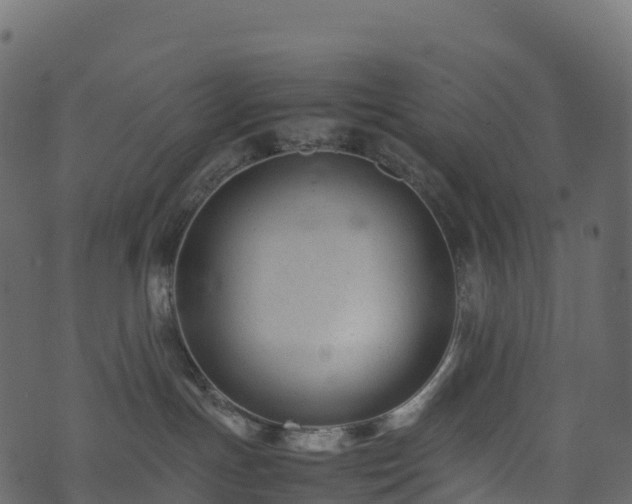 X0000074230191200608251123