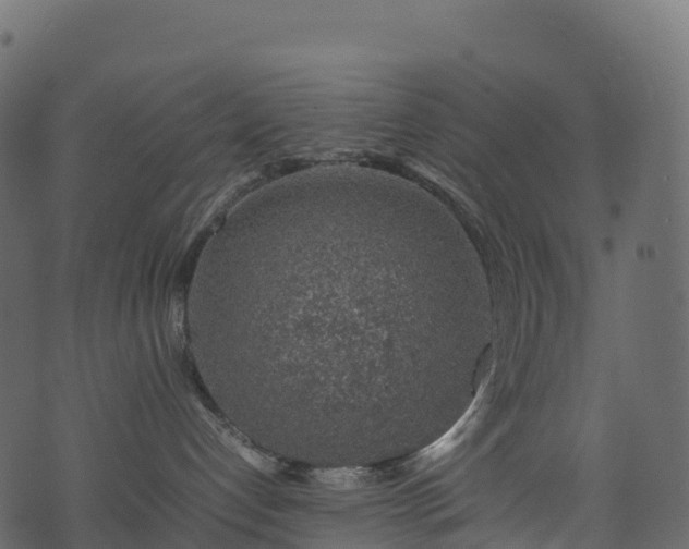 X0000074230192200608251123