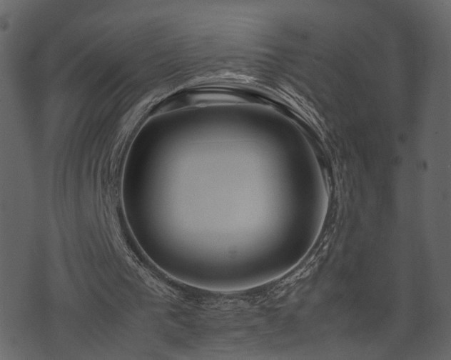 X0000074230193200608251122