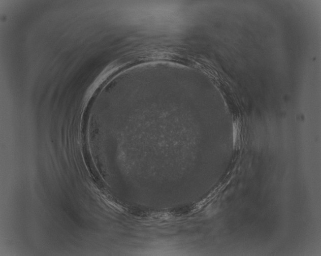 X0000074230195200608251122